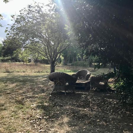 Maison Chaleureuse Et Calme Panazol Buitenkant foto